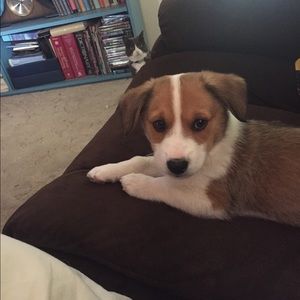 Meet your Posher, Deelyn